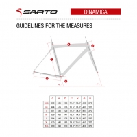 Dinamica_guidelines_measures