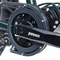 Pinion